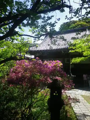 安國論寺（安国論寺）の庭園