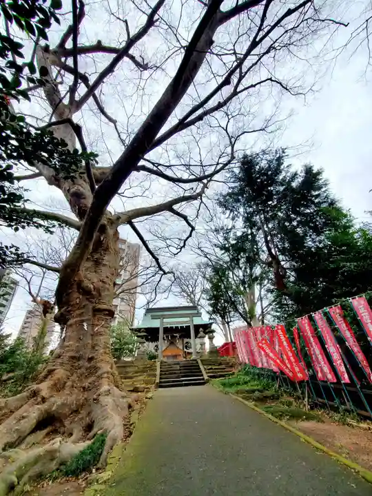 愛宕神社(福島県)