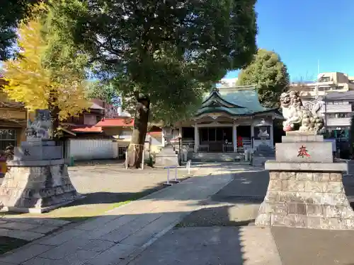 荻窪白山神社の狛犬