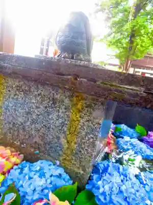 新琴似神社(北海道)