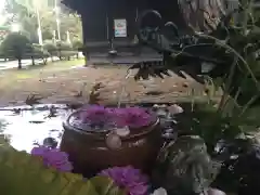 札幌護國神社の手水