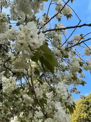 上地八幡宮(愛知県)