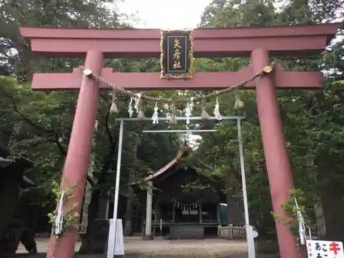 矢彦神社の鳥居