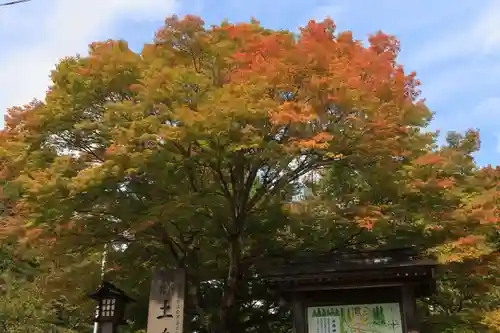 土津神社｜こどもと出世の神さまの庭園