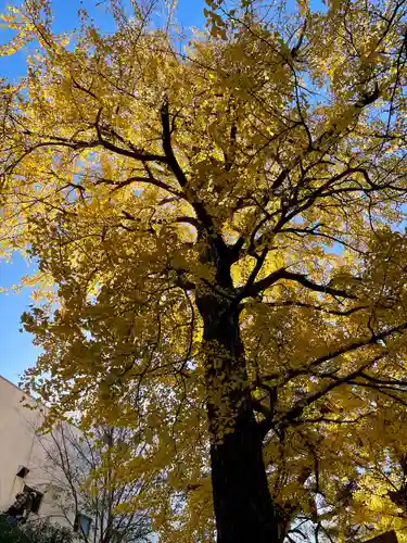 長崎神社(東京都)