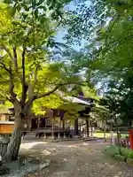 蚊里田八幡宮(長野県)