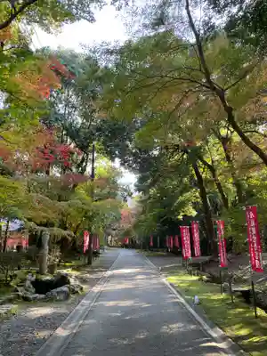 醍醐寺(京都府)