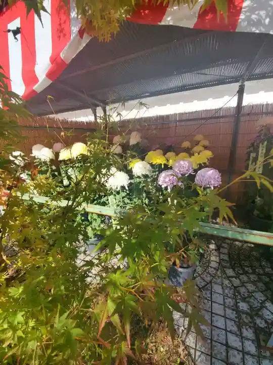 忍 諏訪神社・東照宮 の自然