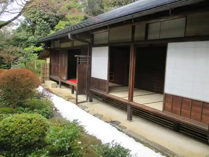 高桐院(京都府)