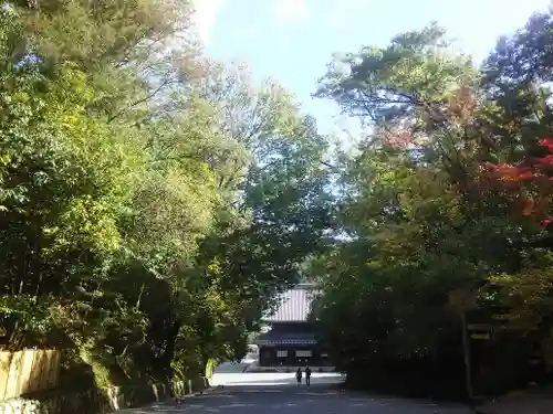 御寺 泉涌寺の景色