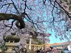 山家神社の自然