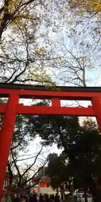 花園神社の鳥居