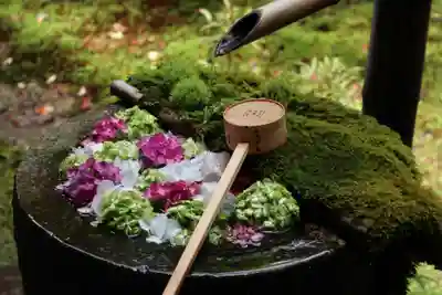 柳谷観音 楊谷寺の手水舎