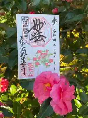 妙蓮寺(神奈川県)