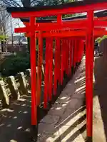 根津神社の鳥居