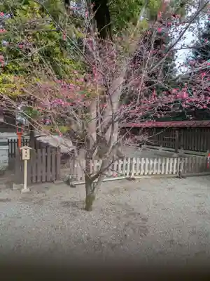 和泉國一之宮　大鳥大社(大阪府)