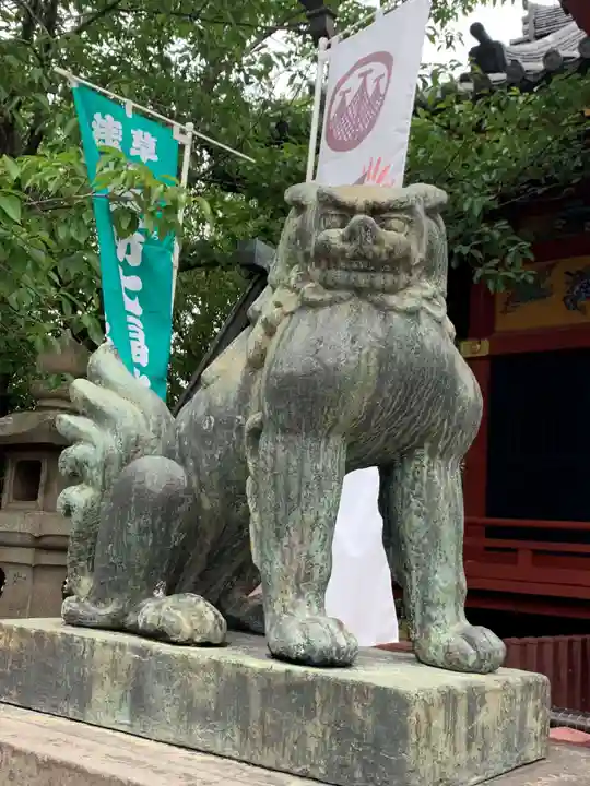 浅草神社の狛犬
