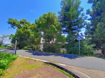 八幡神社（浅井町極楽寺）の自然