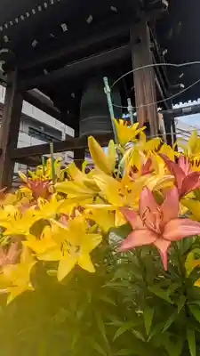 正福寺(大阪府)