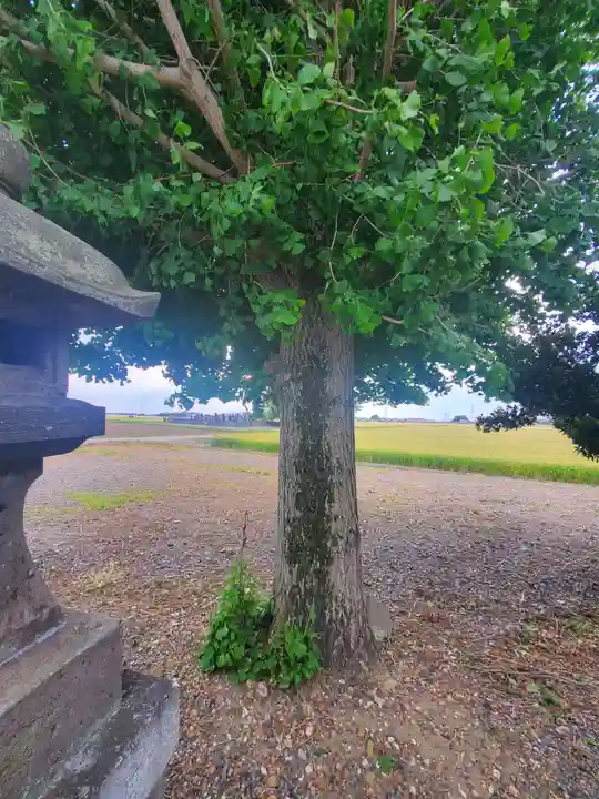 砂田稲荷神社(群馬県)
