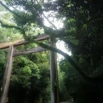 熱田神宮の鳥居