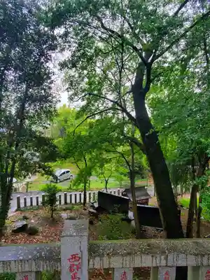 山名八幡宮(群馬県)