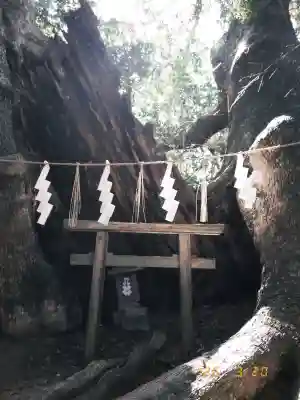 住吉神社の{uncategorized: "未分類", other: "その他", undefined: "問題あり", building: "その他建物", grave: "お墓", sacred_gate: "鳥居", guardian: "狛犬", statue: "像", buddha: "仏像", history: "歴史", nature: "自然", garden: "庭園", animal: "動物", pagoda: "塔", temizu: "手水舎", mountain_gate: "山門・神門", sanctuary: "本殿・本堂", subordinate: "末社・摂社", art: "芸術", scenery: "景色", jizo: "地蔵", ema: "絵馬", goshuin: "御朱印", omikuji: "おみくじ", items: "授与品その他", amulet: "お守り", goshuincho: "御朱印帳", eats: "食事", festival: "お祭り", votive_dance: "神楽", shichigosan: "七五三参", wedding: "結婚式", experience: "体験その他", initially: "初詣", around: "周辺", anti_infection: "感染症対策"}