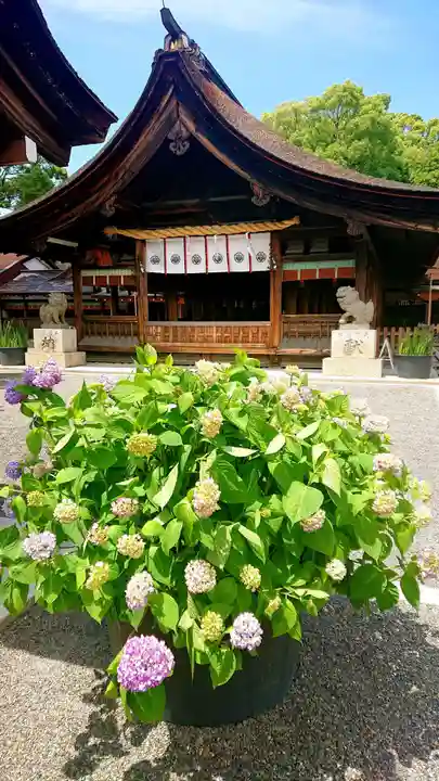 尾張大國霊神社(国府宮)の本殿・本堂
