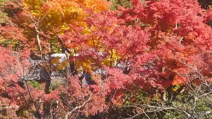 伊奈波神社の自然