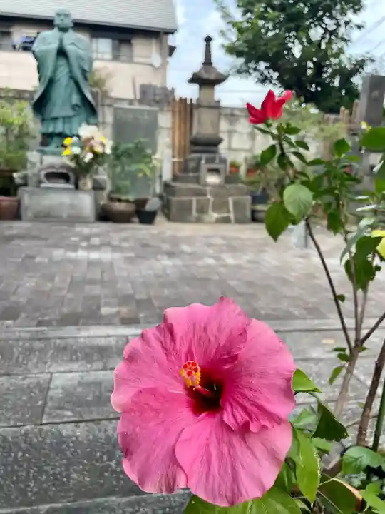 佛心寺(東京都)