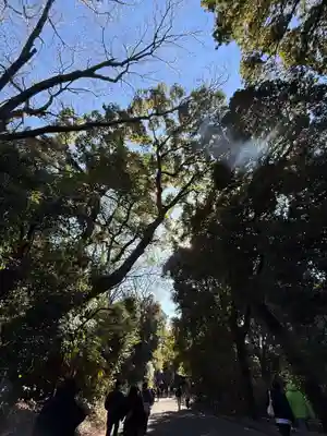 明治神宮(東京都)