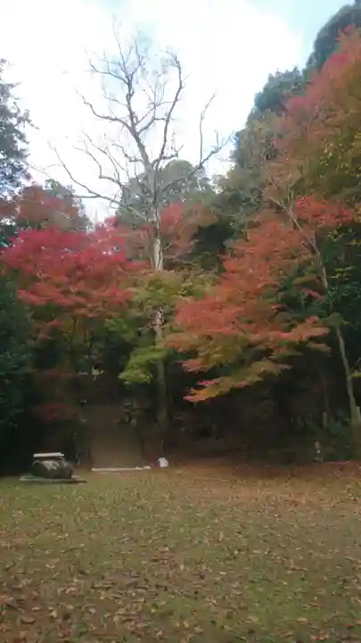 諏訪神社(鳥取県)