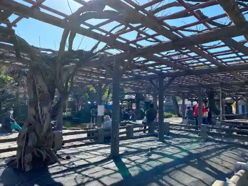 西新井大師総持寺の自然