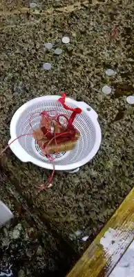 金華山黄金山神社の体験その他