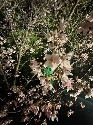 東寺(教王護国寺)の御朱印