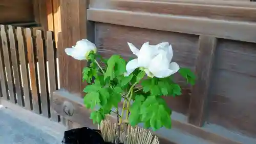 筥崎宮(福岡県)