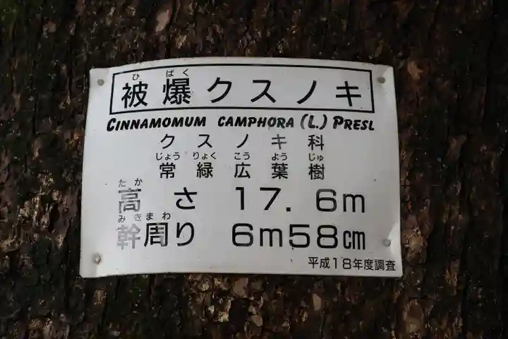 山王神社の自然