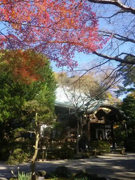 妙本寺のその他建物