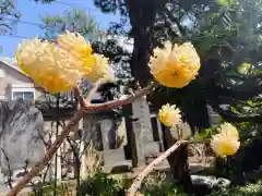 一乗寺(東京都)