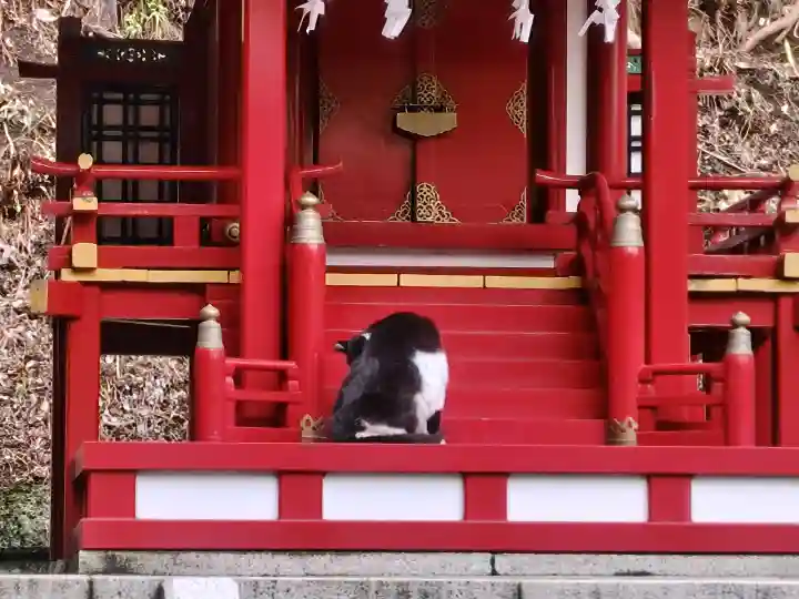 白金氷川神社の{uncategorized: "未分類", other: "その他", undefined: "問題あり", building: "その他建物", grave: "お墓", sacred_gate: "鳥居", guardian: "狛犬", statue: "像", buddha: "仏像", history: "歴史", nature: "自然", garden: "庭園", animal: "動物", pagoda: "塔", temizu: "手水舎", mountain_gate: "山門・神門", sanctuary: "本殿・本堂", subordinate: "末社・摂社", art: "芸術", scenery: "景色", jizo: "地蔵", ema: "絵馬", goshuin: "御朱印", omikuji: "おみくじ", items: "授与品その他", amulet: "お守り", goshuincho: "御朱印帳", eats: "食事", festival: "お祭り", votive_dance: "神楽", shichigosan: "七五三参", wedding: "結婚式", experience: "体験その他", initially: "初詣", around: "周辺", anti_infection: "感染症対策"}