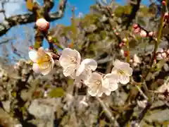 吉備津神社(岡山県)