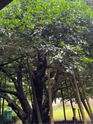 種月寺(新潟県)