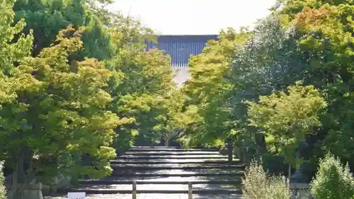 真正極楽寺（真如堂）の建物その他