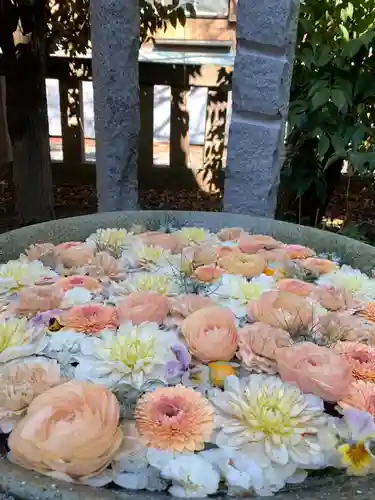 行田八幡神社の手水