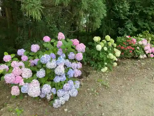 白山神社の自然