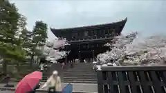 知恩院(京都府)