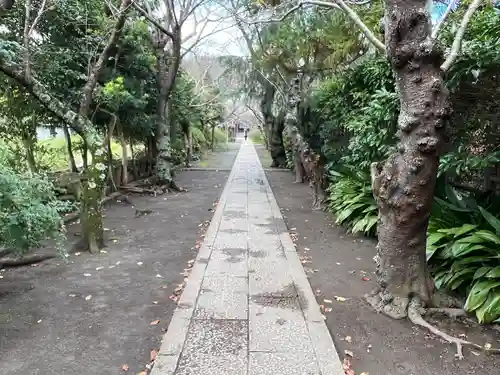 極楽寺（霊鷲山感應院極楽律寺）の景色