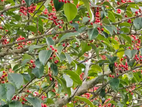 吉田寺(奈良県)