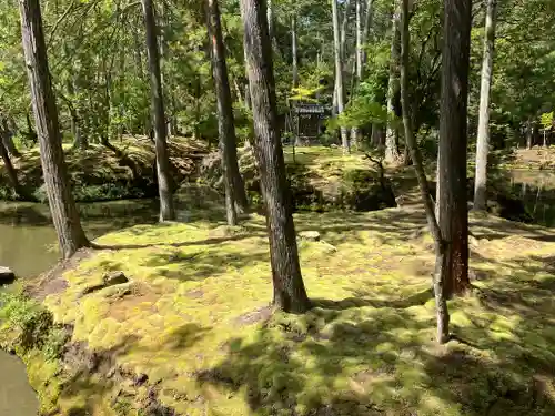 西芳寺(京都府)