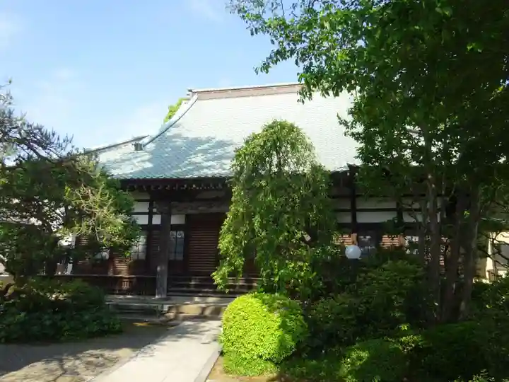 最乗寺の本殿・本堂